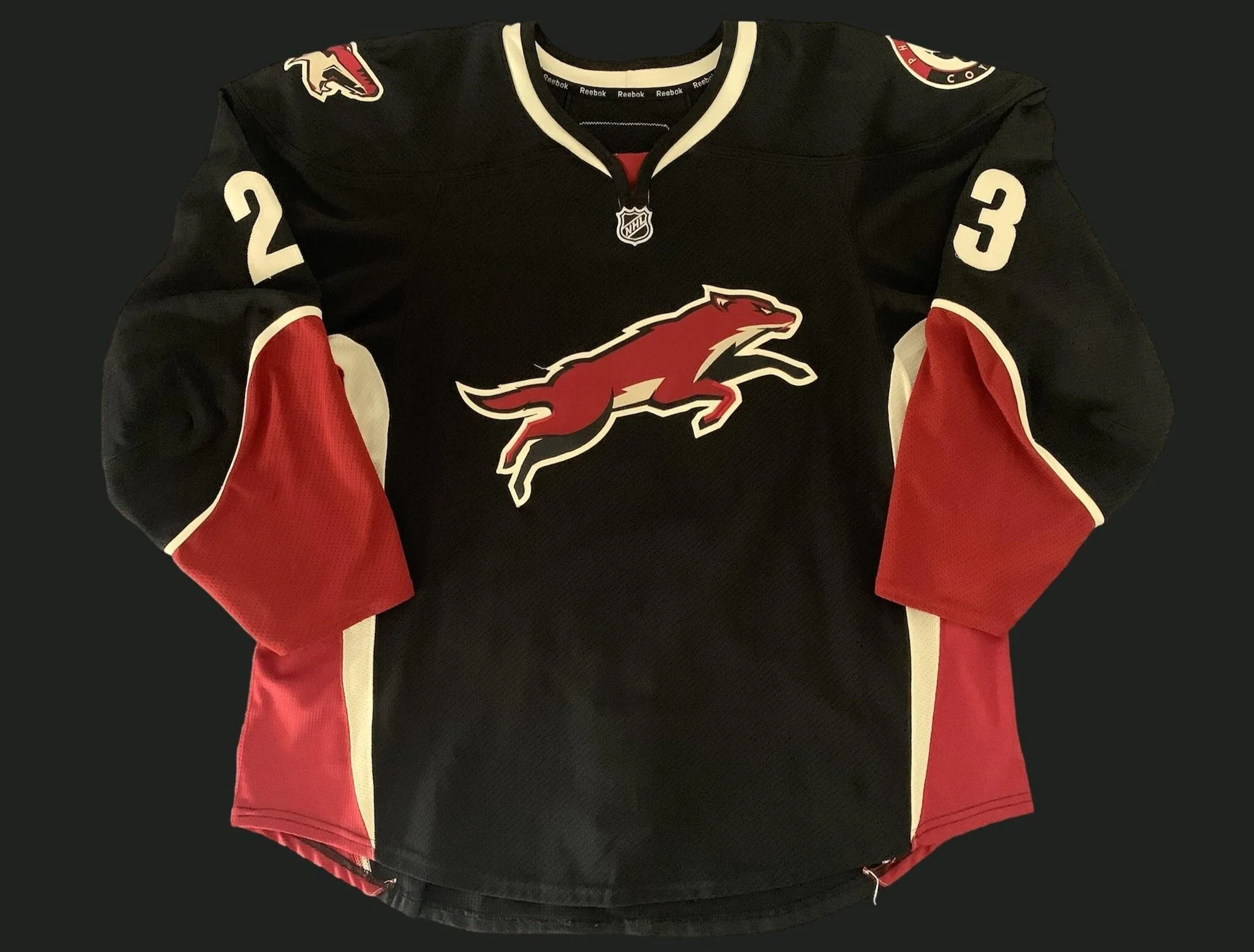 Oliver Ekman Larsson 2010 2011 Phoenix Coyotes Alternate Set Game